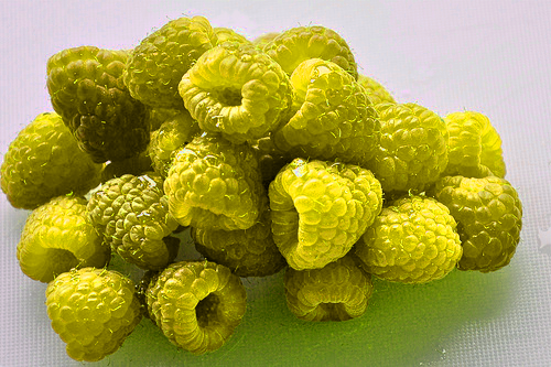 fresh cornberries