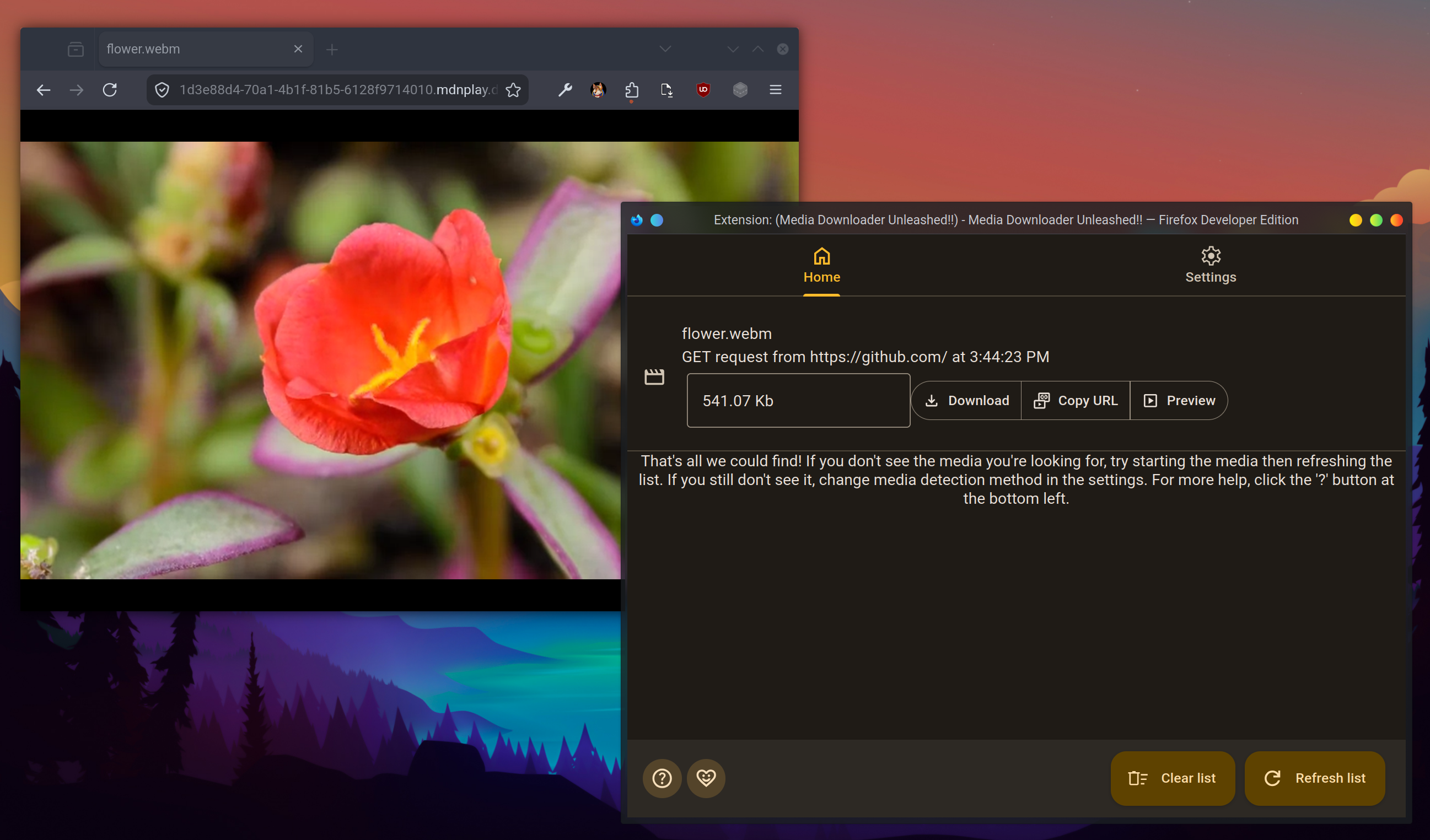 A web browser window with a video playing. Next to it, the add-on in another window showing "flower.webm" in a list, with options to download, copy the URL or preview the video.