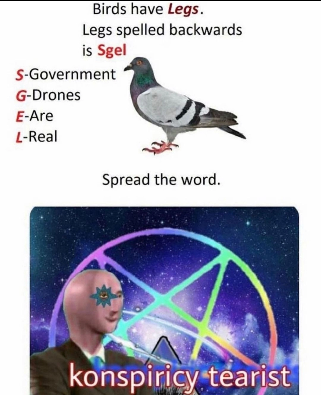 A meme with following text "Birds have legs. Legs spelled backwards is sgel. S-Goverment G-Drones E-Are L-Real. Next to that text is an image of an pigeon. Underneath there's a text thats says "Spread the word." followed by an edit of the stonks guy with an caption "konspiricy tearist"