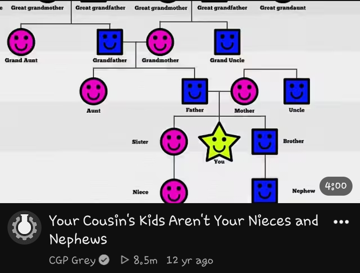 your cousin's kids aren't your nephews and neices