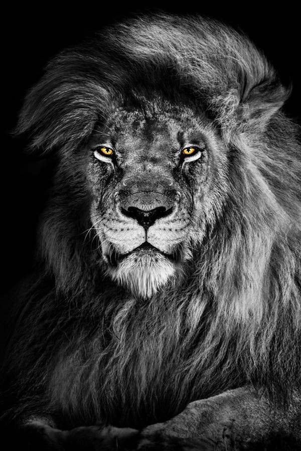 The Lion Doesn't Concern Himself with Employment