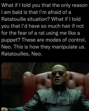 "What if I told you that the only reason I am bald is that I'm afraid of a Ratatouille situation? What if I told you that I'd have so much hair if not for the fear of a rat using me like a puppet? These are modes of control, Neo. This is how they manipulate us. Ratatouilles, Neo." Picture of Morpheus from the Matrix