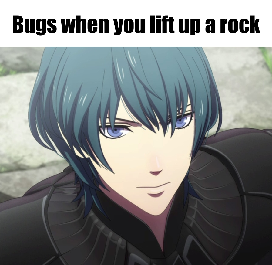 Bugs when you lift up a rock: (picture of Byleth staring into the air with a blank face)