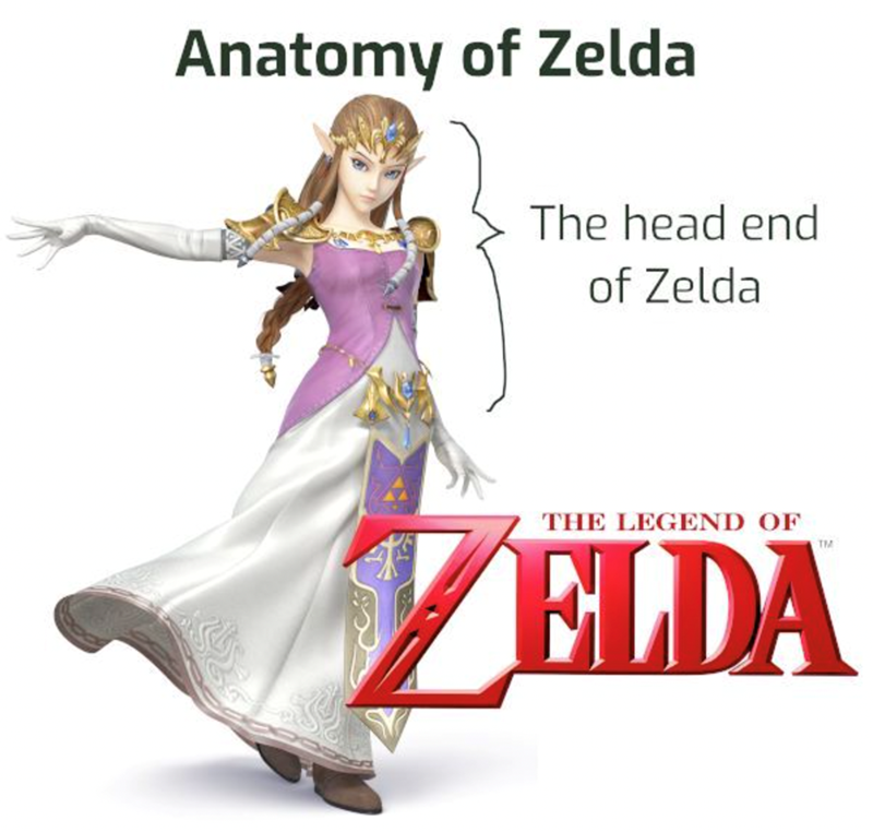 Picture of Zelda. Top half is marked "The head end of Zelda". Bottom half is marked "The Legend of Zelda".
