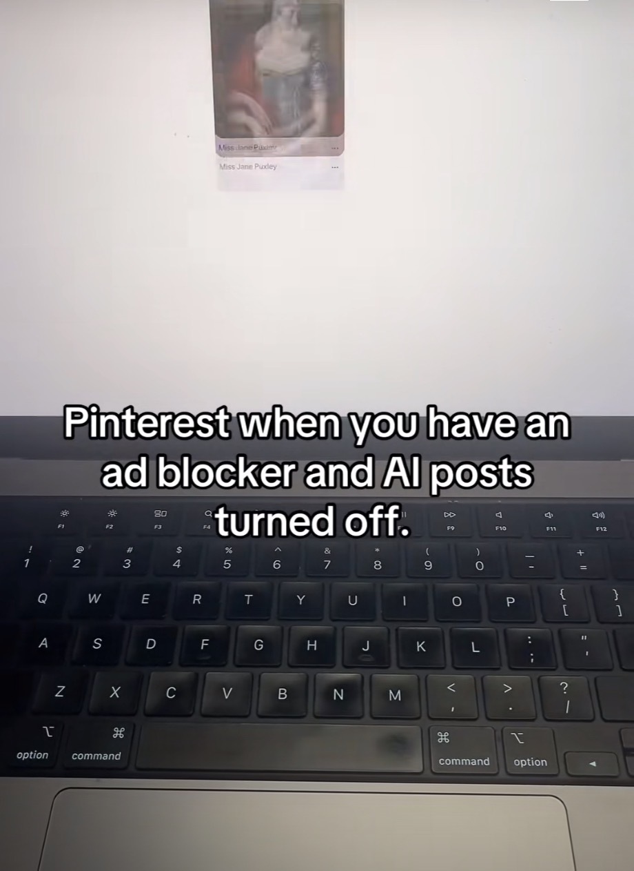 Picture of a computer screen that’s all empty except for one thumbnail with the caption “Pinterest when you have an ad blocker and Al posts
turned off.”